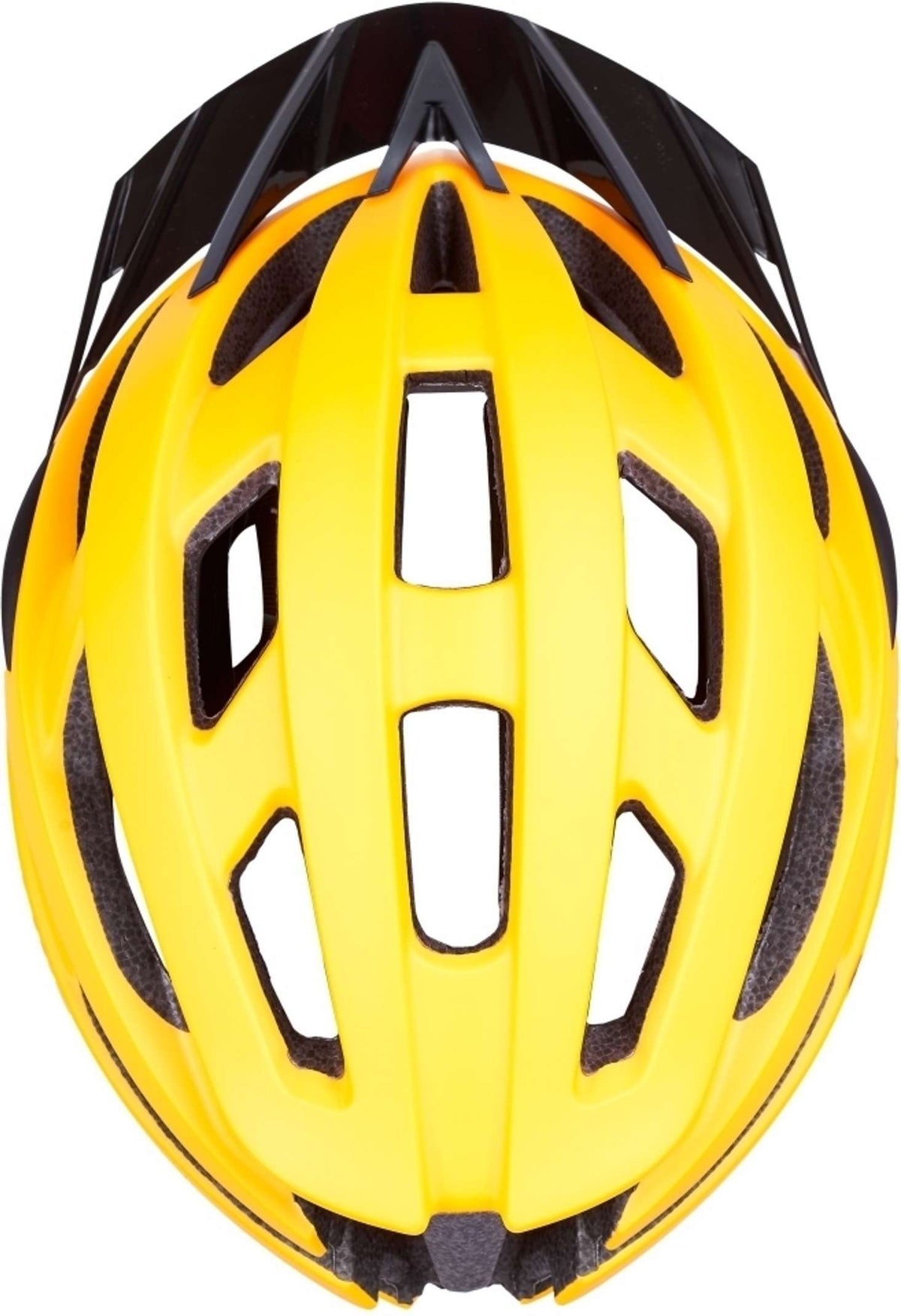 ProBike Helmet