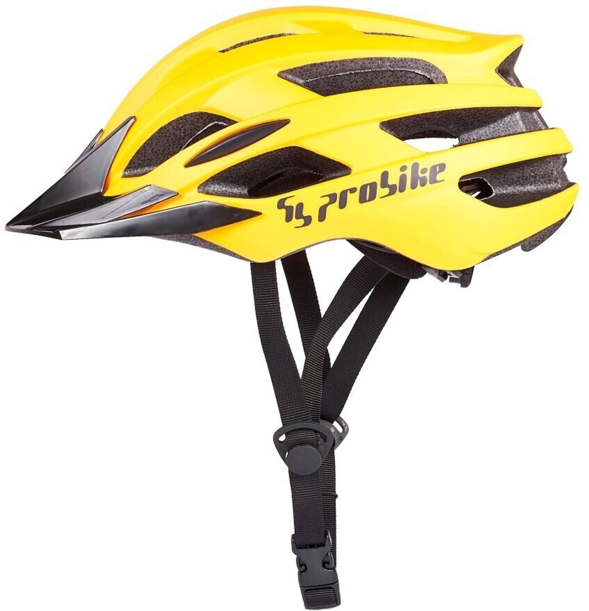 ProBike Helmet